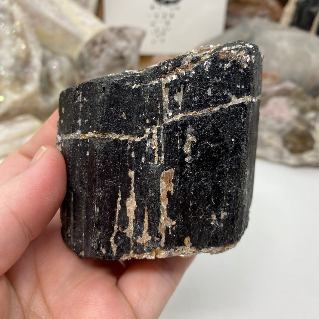 Black Tourmaline with Muscovite Rough #15