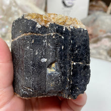 Chargez l&#39;image dans la visionneuse de la galerie, Black Tourmaline with Muscovite Rough #15
