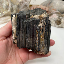 将图像加载到图库查看器中，Black Tourmaline with Muscovite Rough #16
