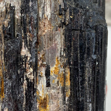 Bild in Galerie-Viewer laden, Black Tourmaline with Muscovite Rough #16
