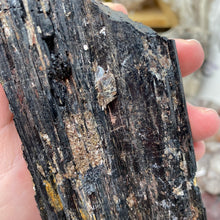 Load image into Gallery viewer, Black Tourmaline with Muscovite Rough #17

