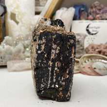 Bild in Galerie-Viewer laden, Black Tourmaline with Muscovite Rough #19
