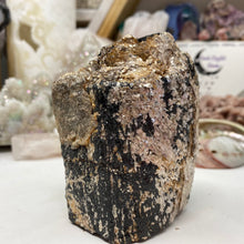 Bild in Galerie-Viewer laden, Black Tourmaline with Muscovite Rough #19
