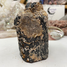 Load image into Gallery viewer, Black Tourmaline with Muscovite Rough #19
