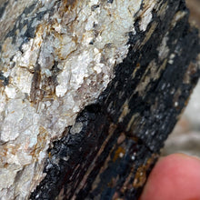 Cargar imagen en el visor de la galería, Black Tourmaline with Muscovite Rough #19
