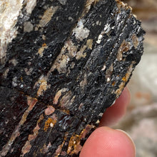 Cargar imagen en el visor de la galería, Black Tourmaline with Muscovite Rough #19
