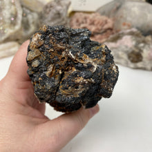 将图像加载到图库查看器中，Black Tourmaline with Muscovite Rough #22
