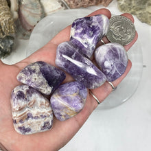 Carica l&#39;immagine nel visualizzatore di Gallery, Chevron Amethyst X-Large Tumbles
