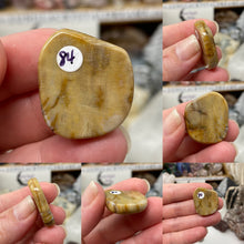 Load image into Gallery viewer, Petrified Wood 1&quot; Coins

